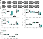 Progressive axonopathy when oligodendrocytes lack the myelin protein CMTM5